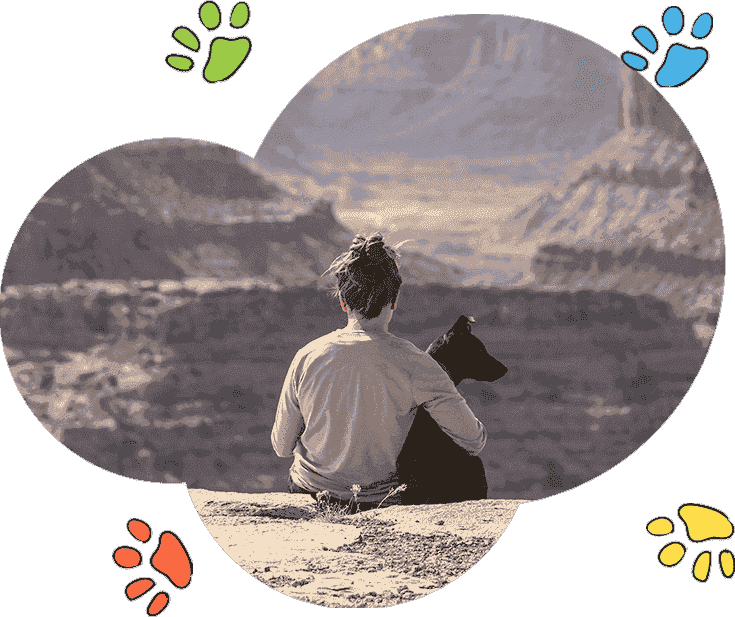 网络ddos攻击软件